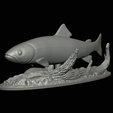 pstruh-klacky-1-19.png rainbow trout 2.0 underwater statue detailed texture for 3d printing