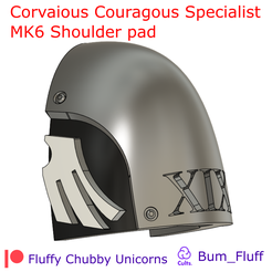 Raven-Guard-Special-v2.png Courvacious Couragous Space Chappies Special Shoulder Pad