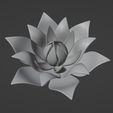 ScreenShot002.jpg Lotus Flower