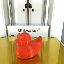 Ultimaker_-_Valentines_Day_Duck.JPG Free STL file Male Valentines Duck・3D print object to download