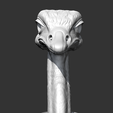 03.png Ostrich Head AM31 3D print model