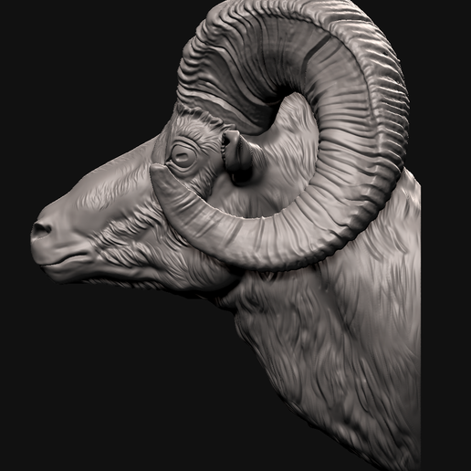 1.png Big Horn Sheep