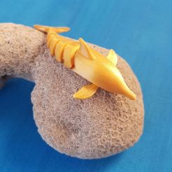 20190628_205122.jpg STL file A Dolphin for Kiel (print in place)・Design to download and 3D print