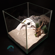 BreezeStone-Cave-3d-printed-by-Aquireef3D-top-sideview.png 3D Printable Cave, Pet Shelter for Aquariums & Terrariums: Fish, Shrimp, Reptile, Spider and Bug Hide, Small Rock Form Tank Decor