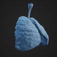 HLC_Render4.png Human Lung Cancer