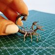20231223_235522.jpg Radscorpion - Fallout creatures - high detailed scorpion even before painting