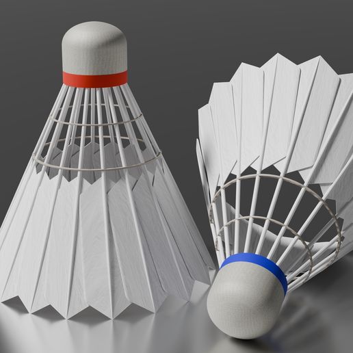 Shuttlecock