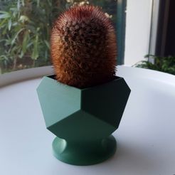 SC-5a.jpg STL file SUCCULENT PLANTER 5・3D printable model to download