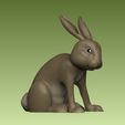 2.jpg Little Rabbit