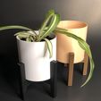 IMG_E4460-1.jpg Reversible Stand and Planter