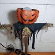 20201021_005006.jpg Scarecrow Lamp Halloween