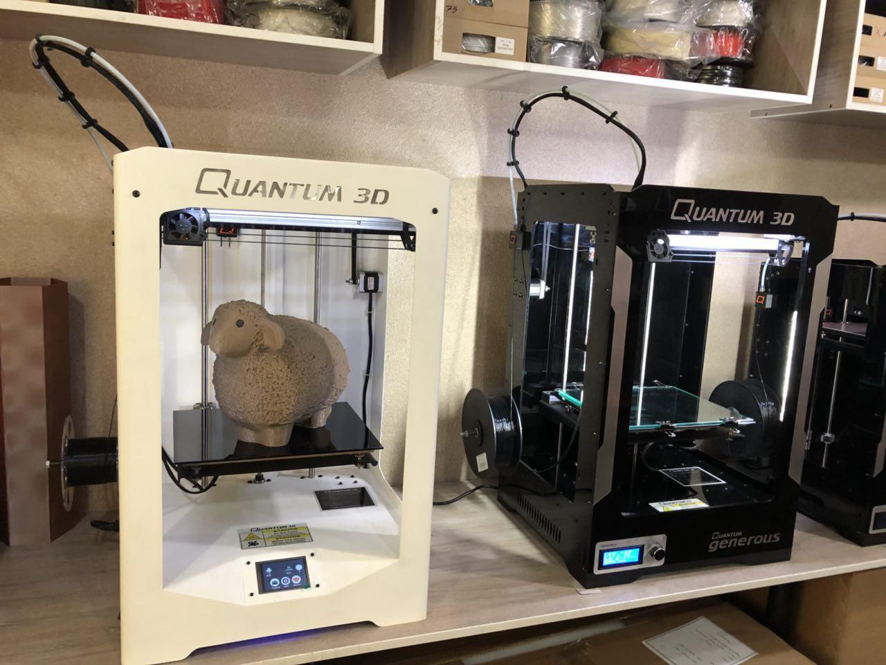 photo_2017-12-21_12-27-03.jpg Download free STL file Wooly && Lazy Sheep • 3D print object, Quantum3D