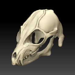 1_0005_Capa 0.jpg 3D file Mask Head Wolf・3D printing design to download