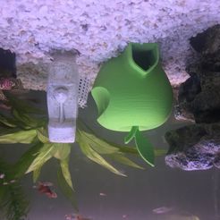 IMG_9279.JPG Apple Fish House
