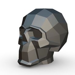 1.jpg skull