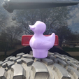 Jeep-Duck-5.png Jeep Freedom Duck - Ducking - Topless Wrench