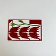FullSizeRender-377.jpg FLOR DE EMERGENCIA FORMATO CARTERA