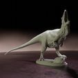 Charcharadontosaurus_roar_7.jpg Carcharadontosaurus roar - pre-supported dinosaur
