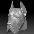14.jpg Great Dane head for 3D printing