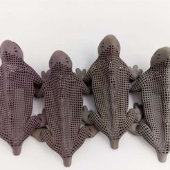 Лощина Драуди