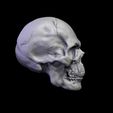 untitled.168ed.jpg Skull Head