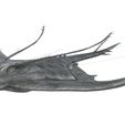5.jpg MANTA RAY - DOWNLOAD MANTA RAY 3d Model - animated for Blender-Fbx-Unity-Maya-Unreal-C4d-3ds Max - 3D Printing MANTA RAY FISH SEA