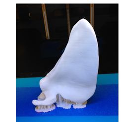Scapula2.jpg Fichier STL omoplate・Objet pour imprimante 3D à télécharger