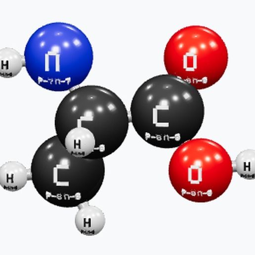 Customizable Alanine (C3H7NO2) - Labeled 3D Molecule Model 3D model