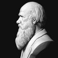 08.jpg Charles Darwin portrait sculpture 3D print model