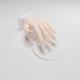 portada.jpg Hand for nail tips - Hand tip nails show