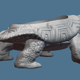 3.PNG Ancient Tortoise