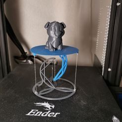 IMG_20210603_224623.jpg Free STL file Tensegrity table・3D print design to download