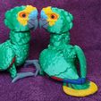 IMG_20240602_170138023.jpg Amazon Parrot Articulated Figure