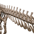 20.png Argentinosaurus : Esqueleto completo