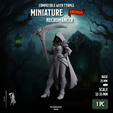 1.png NECROMANCER