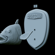 Dentex-head-trophy-51.png fish head trophy Common dentex / dentex dentex open mouth statue detailed texture for 3d printing