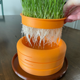 HydroponicCatGrassGrower_02.png Carrot Cat Grass Hydroponic Grower to grow Cat Grass without Soil