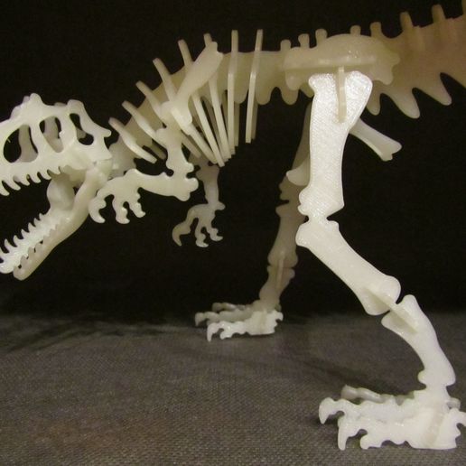 Allosaurus 3D Puzzle Construction Kit 3D model