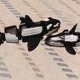 1000204715.jpg Orca whale