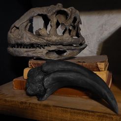 Majungasaurus skull 3D Print - dinosaur