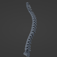 s3.png Archivo STL Columna vertebral・Diseño para descargar y imprimir en 3D