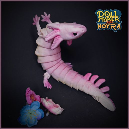 J-lmM_BHB_E.jpg Articulated axolotl