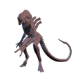 xeno-warrior-2.png xenomorph warrior