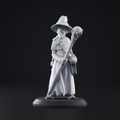 Wizard (1).jpg Miniatura - Mago