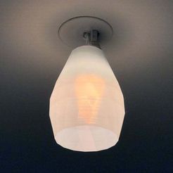 large_display_IMG_2618_compressed.jpg Free STL file Light Ceiling Shade・Object to download and to 3D print