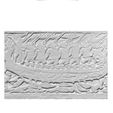 Capture d’écran 2018-09-13 à 17.11.46.png Plaster Cast of a section of the bas-relief of Bayon depicting a Naval Battle