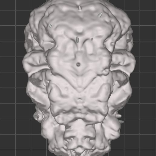 shinskulltop.jpg Shin Godzilla Skull