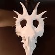 20200929_231802.jpg Styracosaurus dinosaur skull