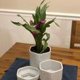 a798820e2e6cf78f1650fcd7628cb517_display_large.jpg Yet Another Plant Pot (set)