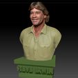 SI_0020_Layer 3.jpg Steve Irwin the Crocodile Hunter